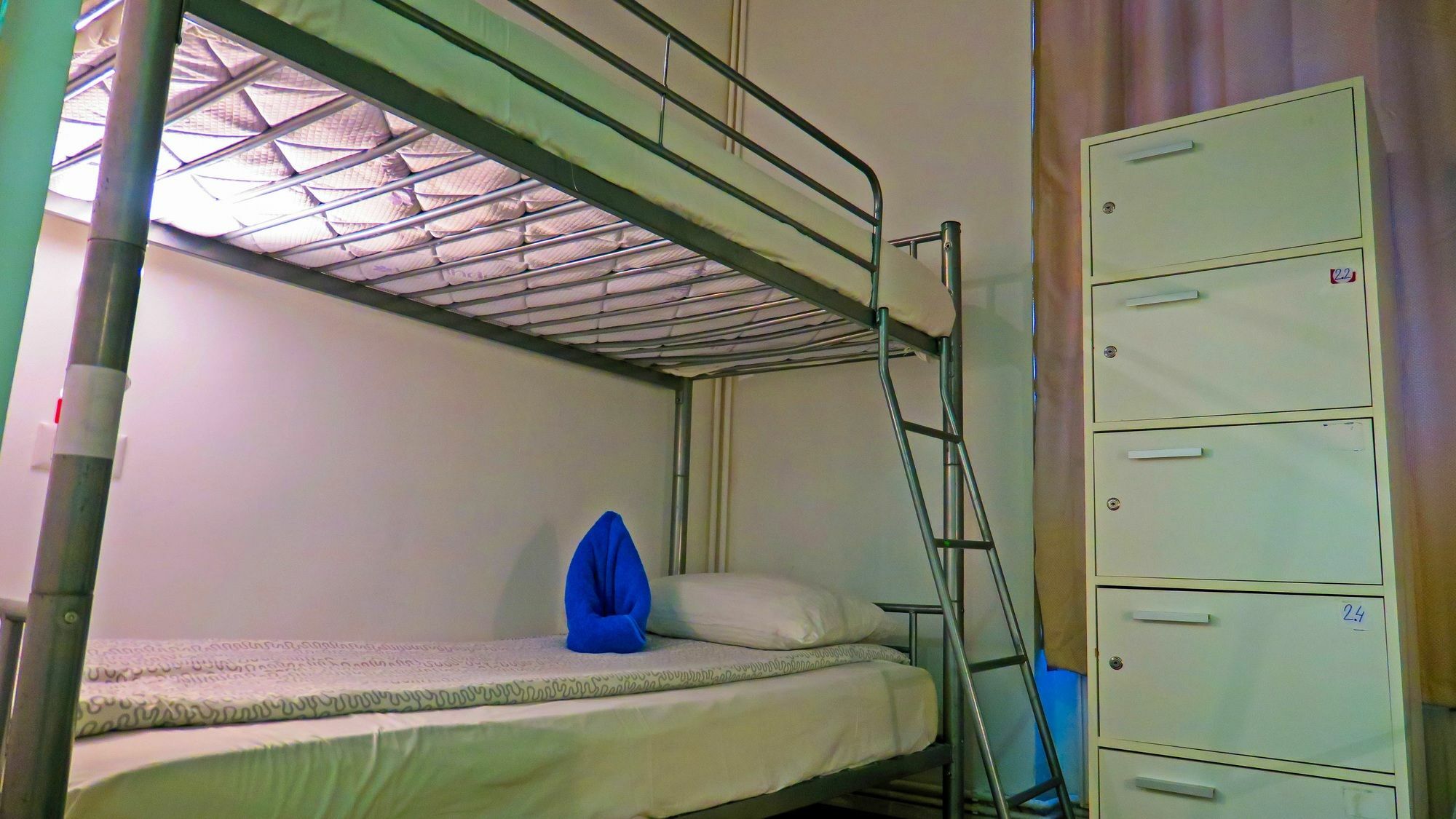 The Evil Clown Hostel Braşov Extérieur photo